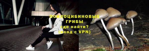 прущая мука Карпинск