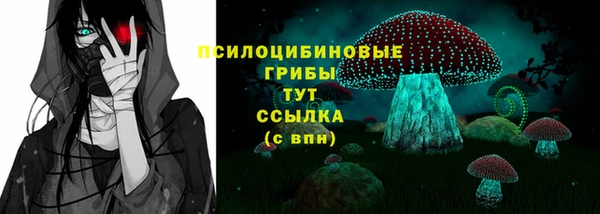 сатива Касимов