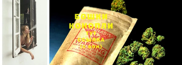 сатива Касимов