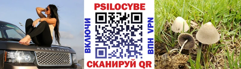 Купить  Игарка  Галлюциногенные грибы GOLDEN TEACHER 